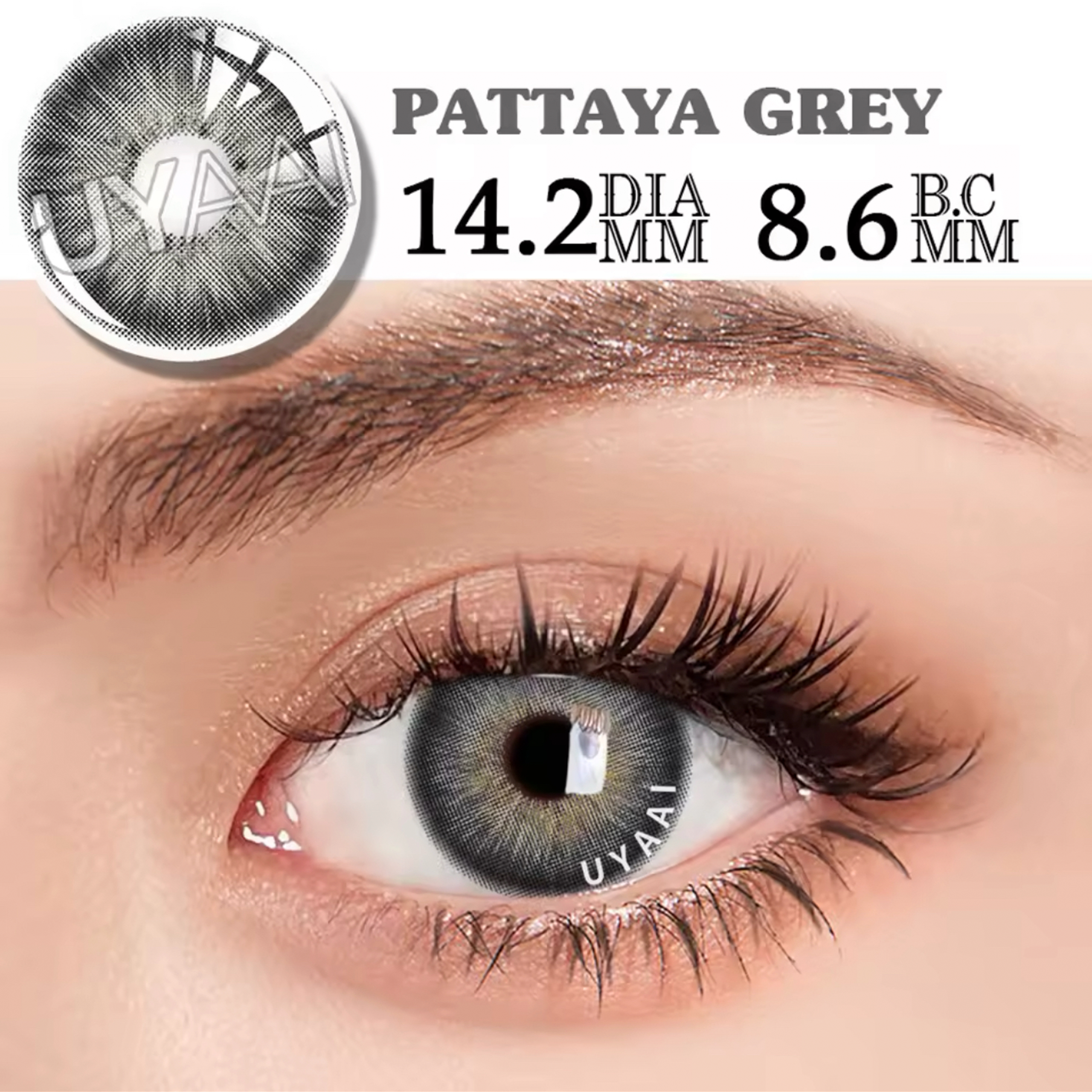 Lentes Grey Par de Lentes con estuche / Tono Grey - Imagen 1