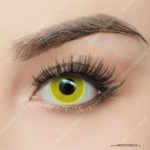 Par de Lentes con estuche / Yellow Ring - Imagen 2