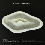 Prótesis de silicona / Encapsulado / Modelo Corte _ Herida 2