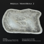 Prótesis de silicona / Encapsulado / Modelo Mejilla _ Mandíbula 2