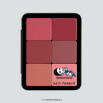 Concealer & Blush 2 / Paleta 12 tonos / Marca Arte Pierrot - Imagen 2