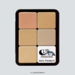 Concealer & Blush 1 / Paleta 12 tonos / Marca Arte Pierrot - Imagen 2