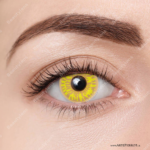 Par de Lentes con estuche / Crackle Yellow - Imagen 2