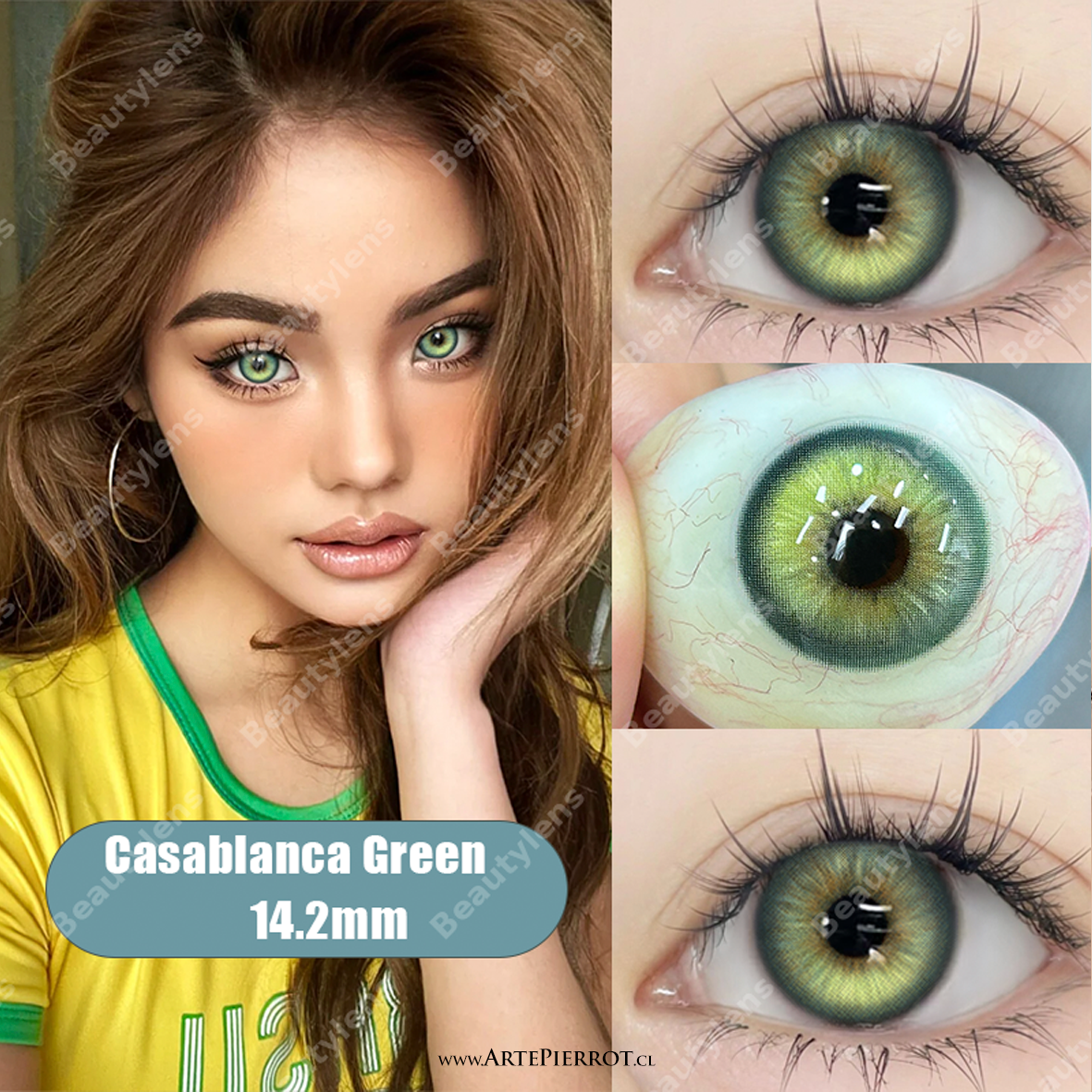 Lentes_catalogo2026_Casablanca Green Par de Lentes con estuche / Casablanca Green - Imagen 1