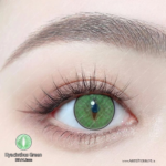 Par de Lentes con estuche / Hyacinthus Green - Imagen 2