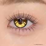 Par de Lentes con estuche / Karane Brown