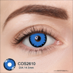 Par de Lentes con estuche / COS2610 - Imagen 2