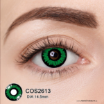 Par de Lentes con estuche / COS2613 - Imagen 2