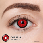 Par de Lentes con estuche / COS2618 - Imagen 2