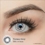 Par de Lentes con estuche / Vermis Grey - Imagen 2